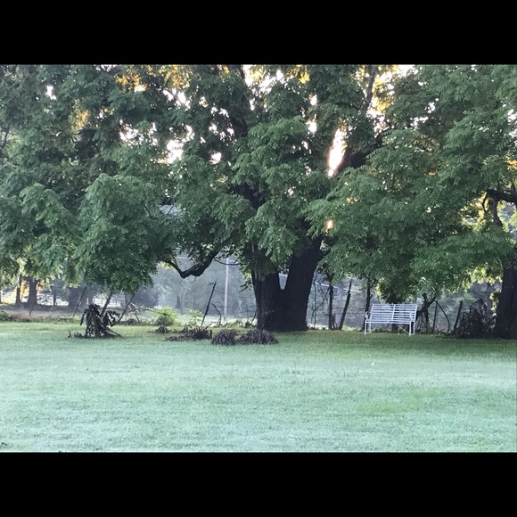 Meet your Posher, Jared - Picture 1 of 1